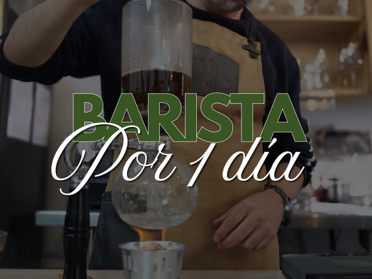 Barista por 1 día