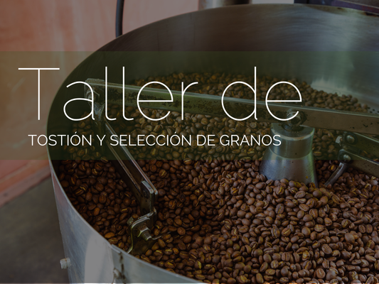 Taller de tostión & selección de granos