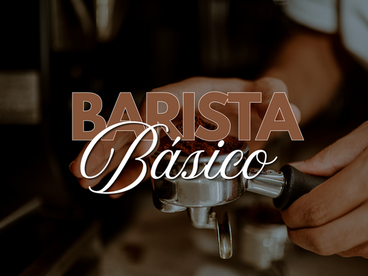 Barista Básico