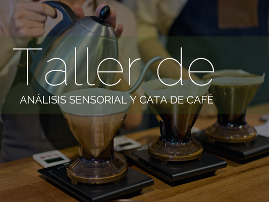Taller de análisis sensorial y cata de café